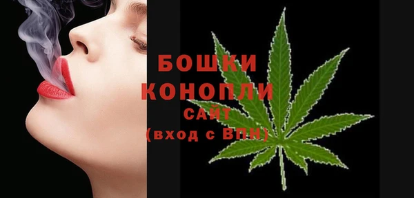 PSILOCYBIN Богородицк